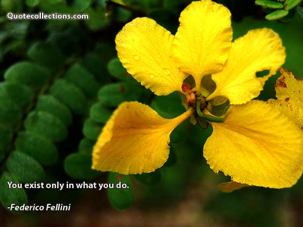 Federico Fellini Quotes6